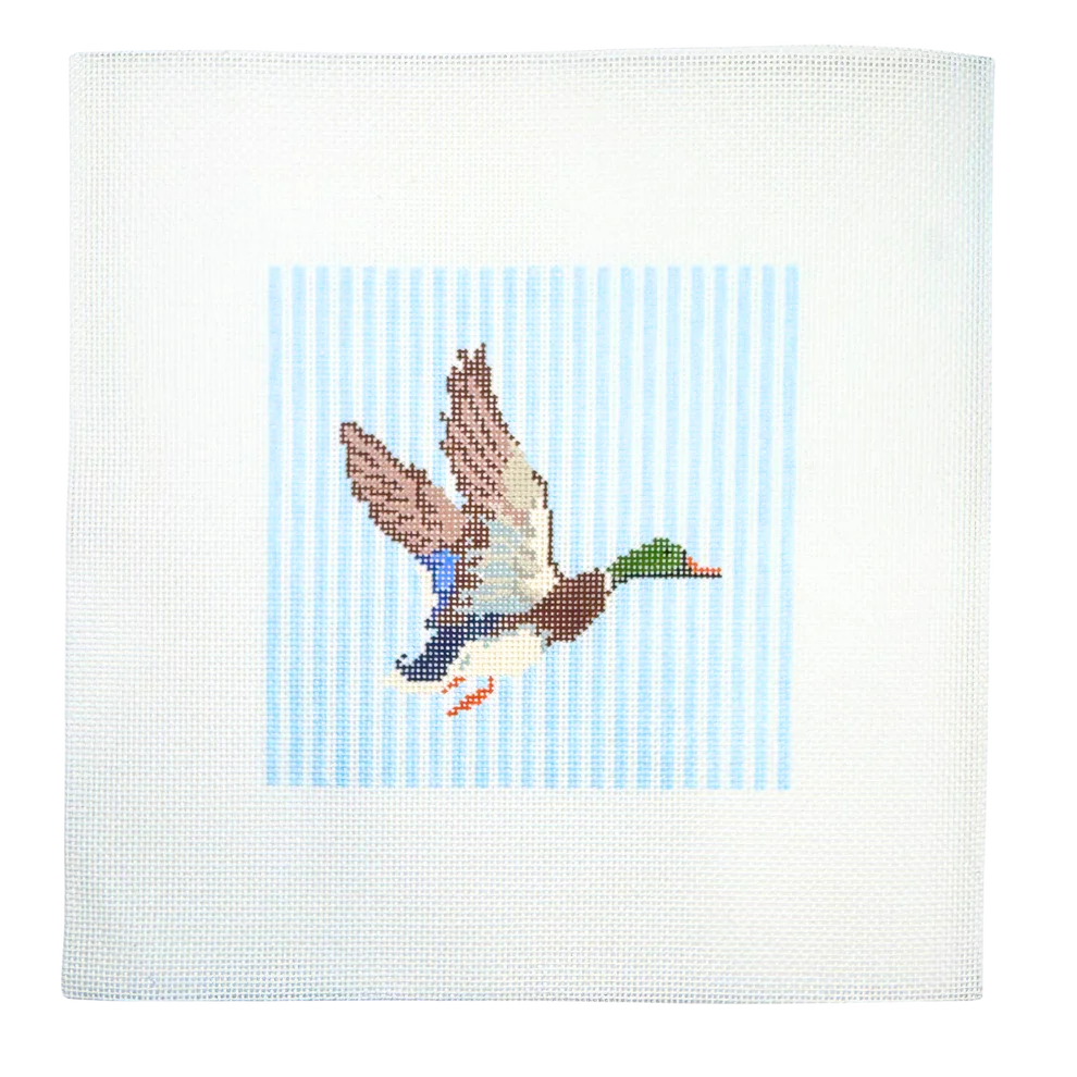 Mallard with Stripes