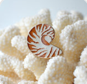 Nautilus Shell Needle Minder