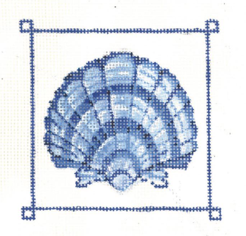 Blue Banded  Scallop Shell