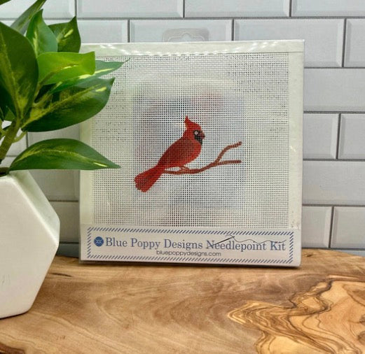 Cardinal Beginner Kit
