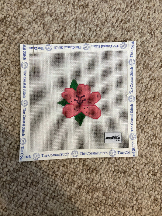 Azalea mini