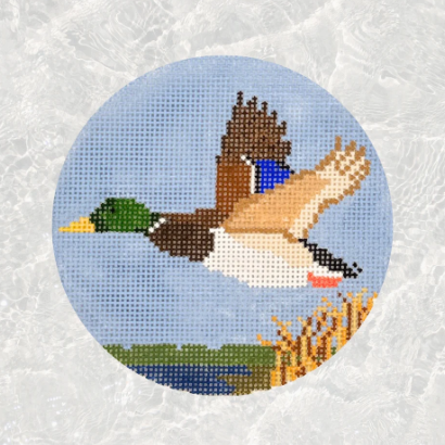 Mallard Over Marsh
